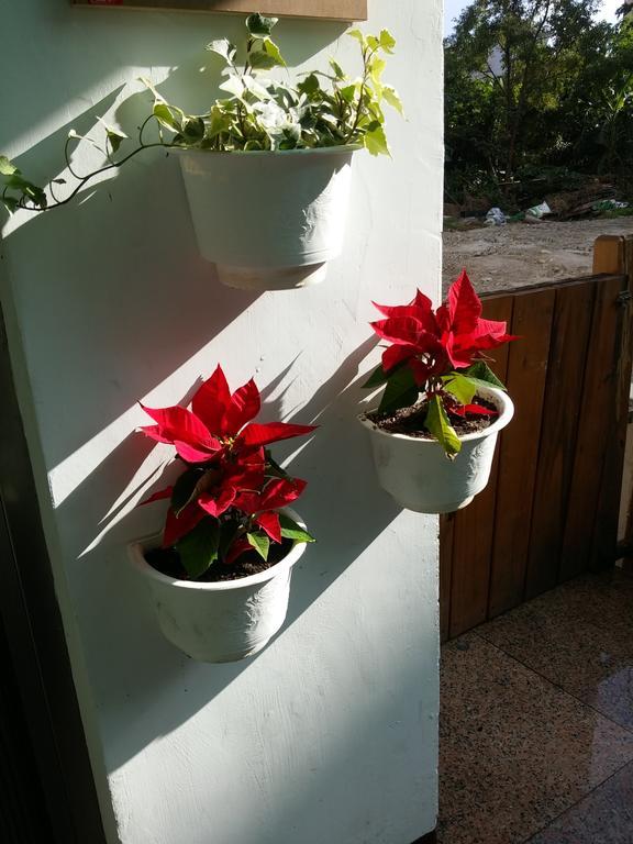 Flower B&B Hualien Eksteriør bilde
